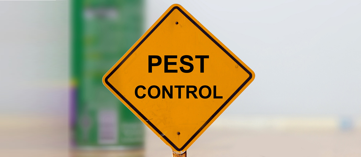 Guide for Different Pest Control Methods for Your Home