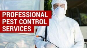 pest control Edmonton