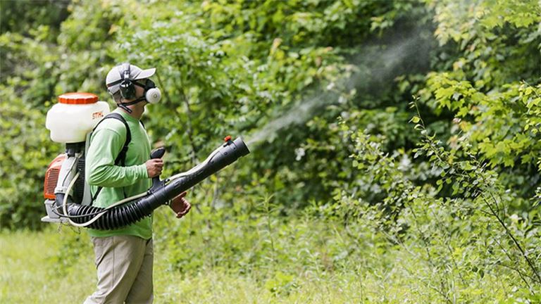 pest control cost